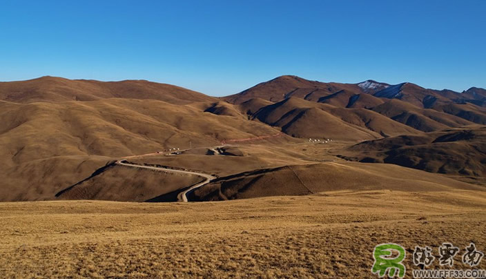 會澤大海草(cǎo)山(shān)風光